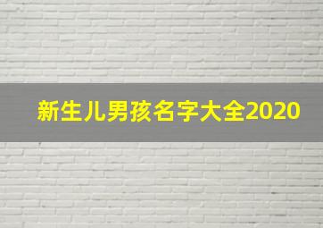 新生儿男孩名字大全2020