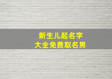 新生儿起名字大全免费取名男