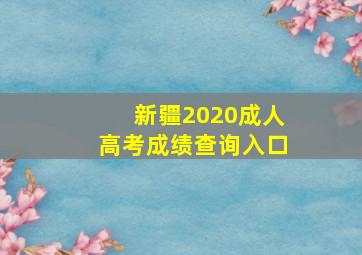 新疆2020成人高考成绩查询入口