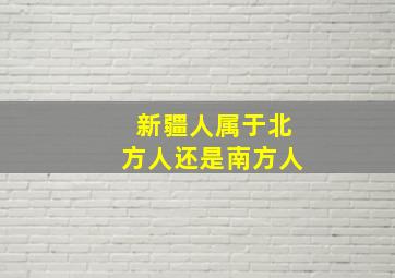 新疆人属于北方人还是南方人