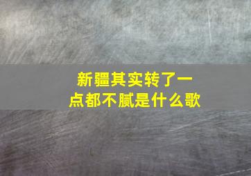 新疆其实转了一点都不腻是什么歌