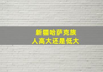 新疆哈萨克族人高大还是低大