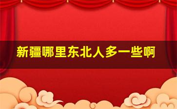 新疆哪里东北人多一些啊