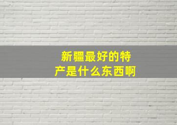 新疆最好的特产是什么东西啊