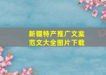 新疆特产推广文案范文大全图片下载