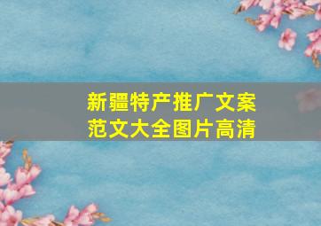 新疆特产推广文案范文大全图片高清