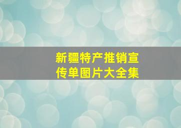 新疆特产推销宣传单图片大全集