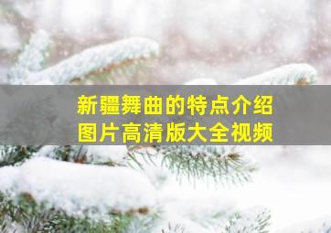 新疆舞曲的特点介绍图片高清版大全视频