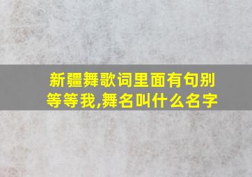 新疆舞歌词里面有句别等等我,舞名叫什么名字