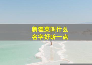 新疆菜叫什么名字好听一点