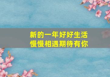 新的一年好好生活慢慢相遇期待有你