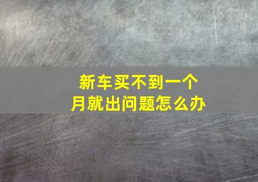 新车买不到一个月就出问题怎么办