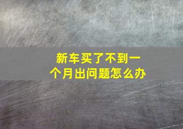 新车买了不到一个月出问题怎么办