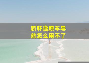 新轩逸原车导航怎么用不了