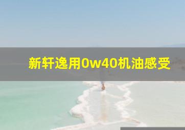 新轩逸用0w40机油感受