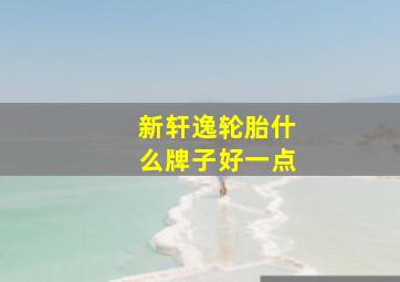 新轩逸轮胎什么牌子好一点