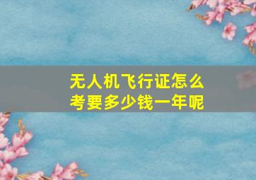 无人机飞行证怎么考要多少钱一年呢