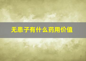 无患子有什么药用价值