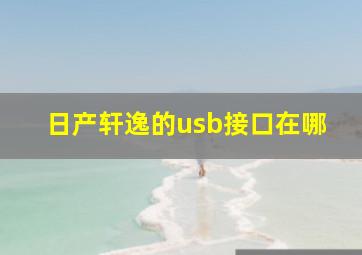 日产轩逸的usb接口在哪