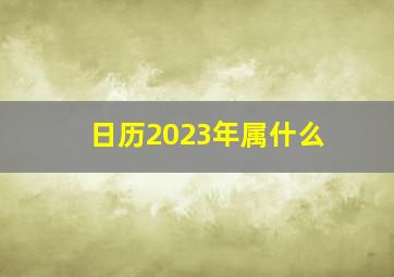 日历2023年属什么