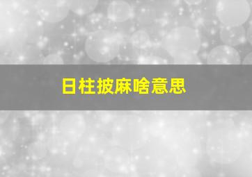 日柱披麻啥意思