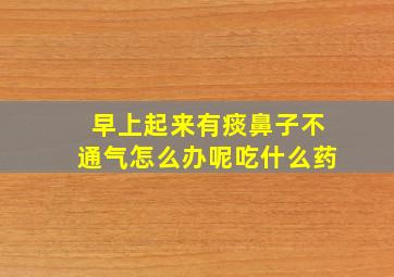 早上起来有痰鼻子不通气怎么办呢吃什么药