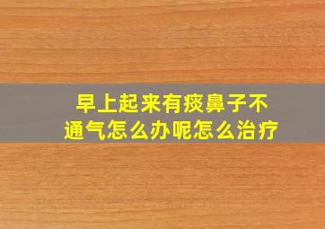 早上起来有痰鼻子不通气怎么办呢怎么治疗