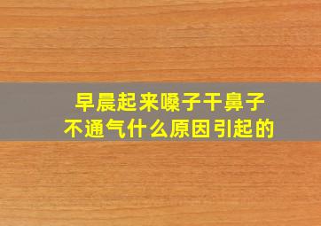 早晨起来嗓子干鼻子不通气什么原因引起的