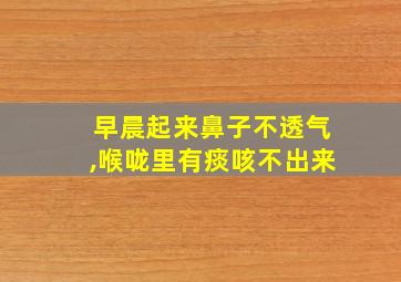 早晨起来鼻子不透气,喉咙里有痰咳不出来