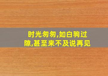 时光匆匆,如白驹过隙,甚至来不及说再见