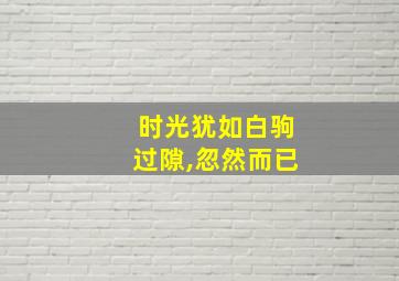 时光犹如白驹过隙,忽然而已