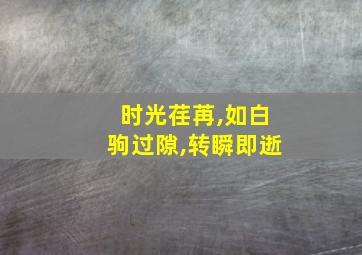 时光荏苒,如白驹过隙,转瞬即逝