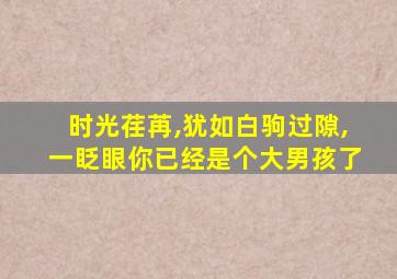 时光荏苒,犹如白驹过隙,一眨眼你已经是个大男孩了