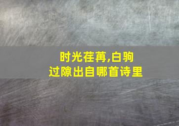 时光荏苒,白驹过隙出自哪首诗里