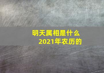 明天属相是什么2021年农历的