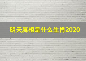 明天属相是什么生肖2020