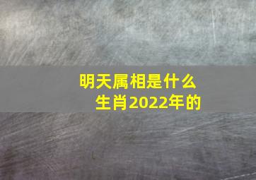 明天属相是什么生肖2022年的