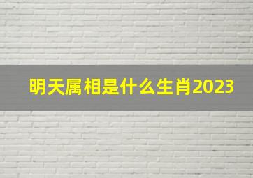 明天属相是什么生肖2023