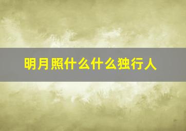 明月照什么什么独行人