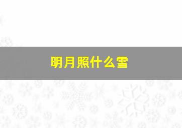 明月照什么雪