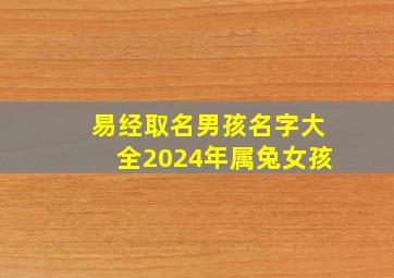 易经取名男孩名字大全2024年属兔女孩