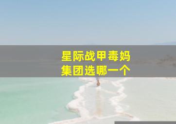 星际战甲毒妈集团选哪一个