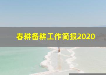 春耕备耕工作简报2020