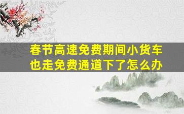 春节高速免费期间小货车也走免费通道下了怎么办