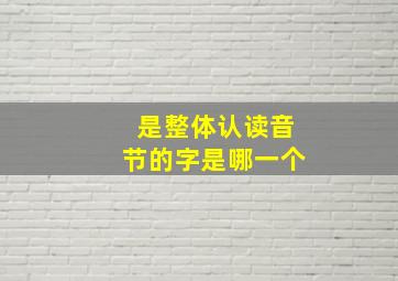 是整体认读音节的字是哪一个