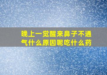 晚上一觉醒来鼻子不通气什么原因呢吃什么药