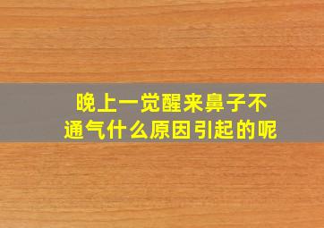 晚上一觉醒来鼻子不通气什么原因引起的呢