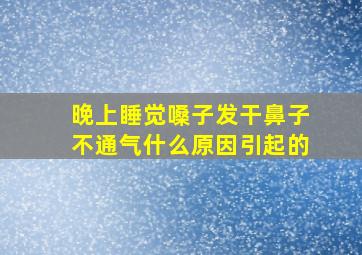 晚上睡觉嗓子发干鼻子不通气什么原因引起的