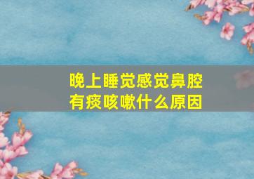 晚上睡觉感觉鼻腔有痰咳嗽什么原因