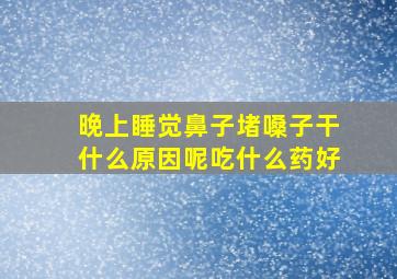 晚上睡觉鼻子堵嗓子干什么原因呢吃什么药好